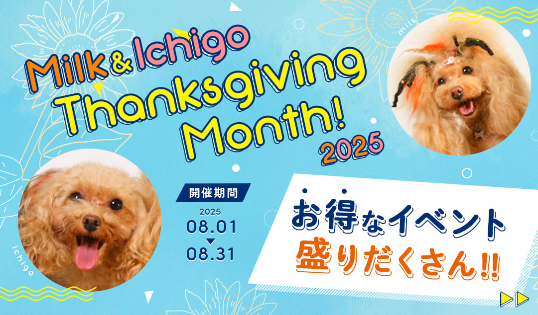 Thaksgiving month!2025