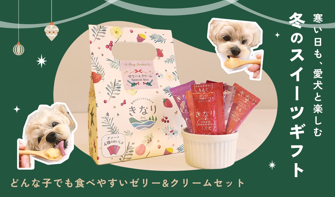 きなり 冬のスペシャルボックス
