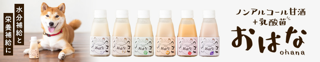 ノンアルコール甘酒+乳酸菌おはな