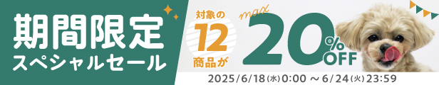 期間限定セール