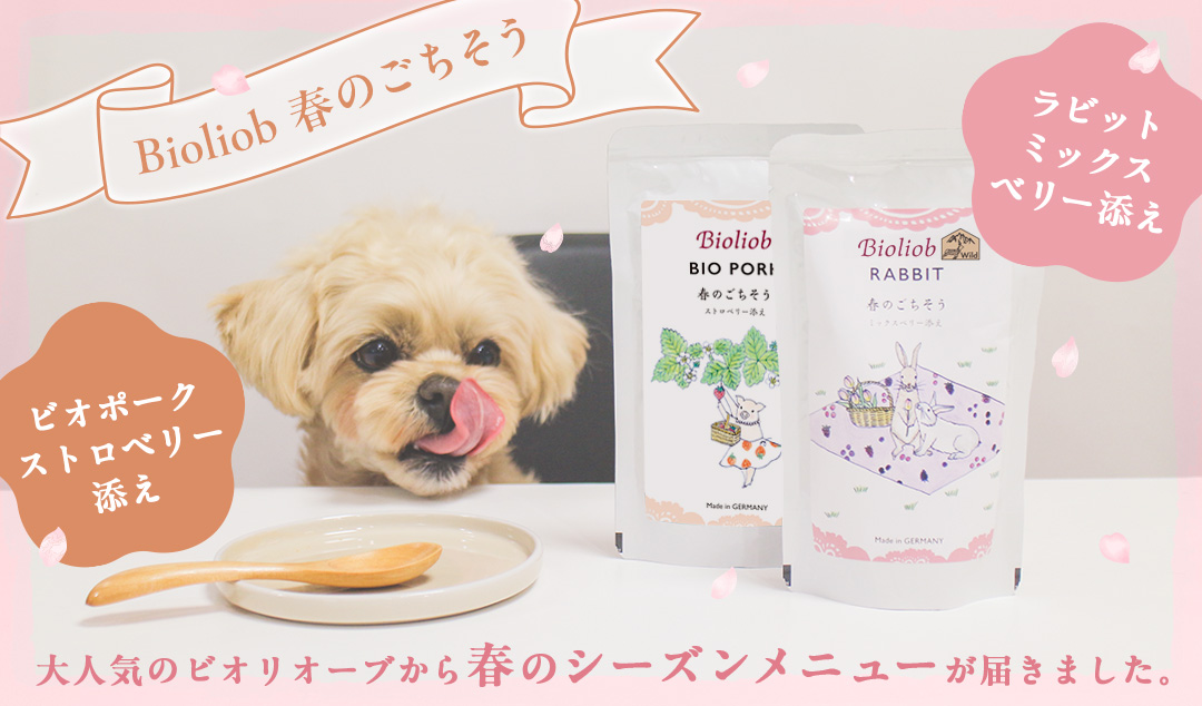 ビオリオーブスプリングメニュー新登場！