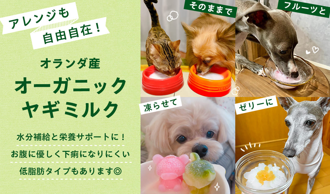 アレンジも自由自在！オーガニックヤギミルク