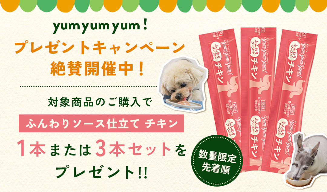 プレゼントキャンペーン