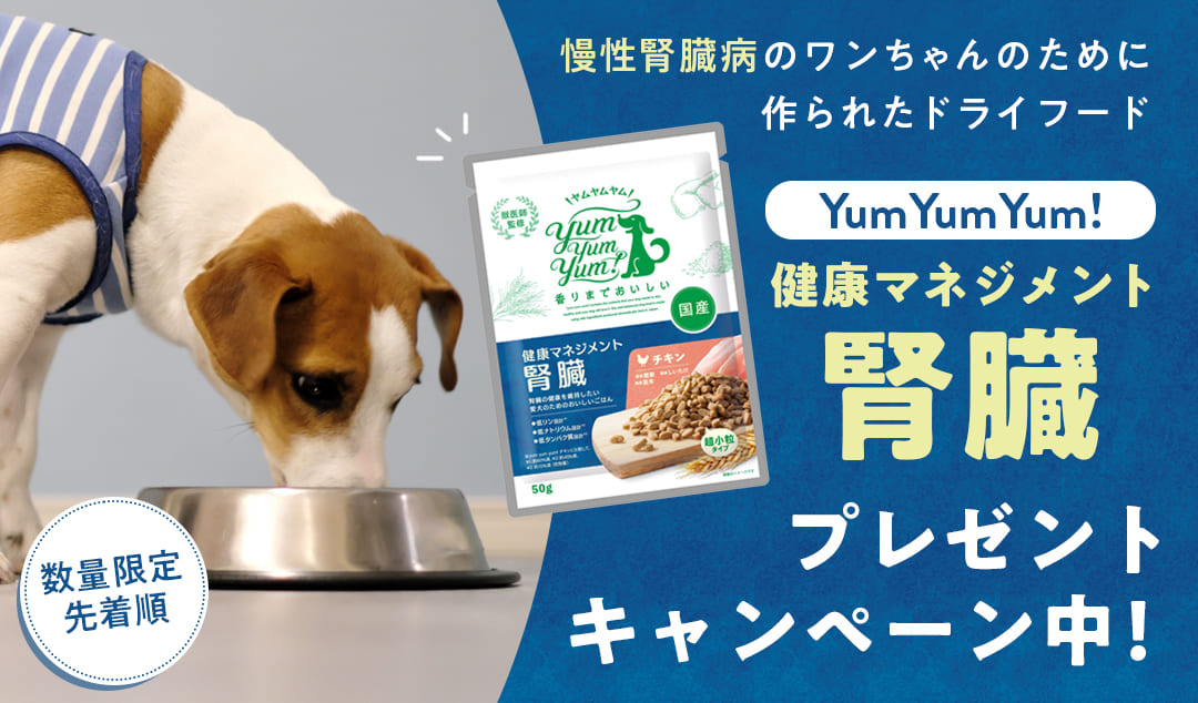 YumYumYum!腎臓プレゼントキャンペーン