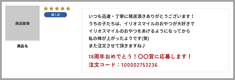 レビュー記載例