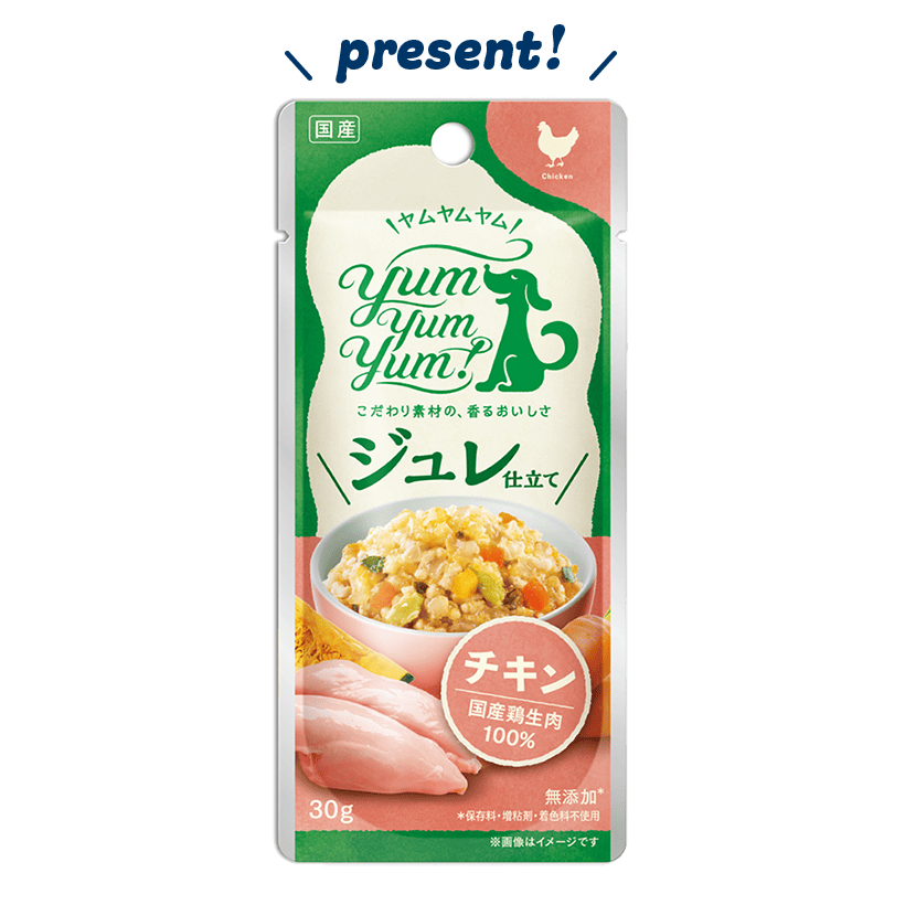 ふんわりソース仕立て チキン