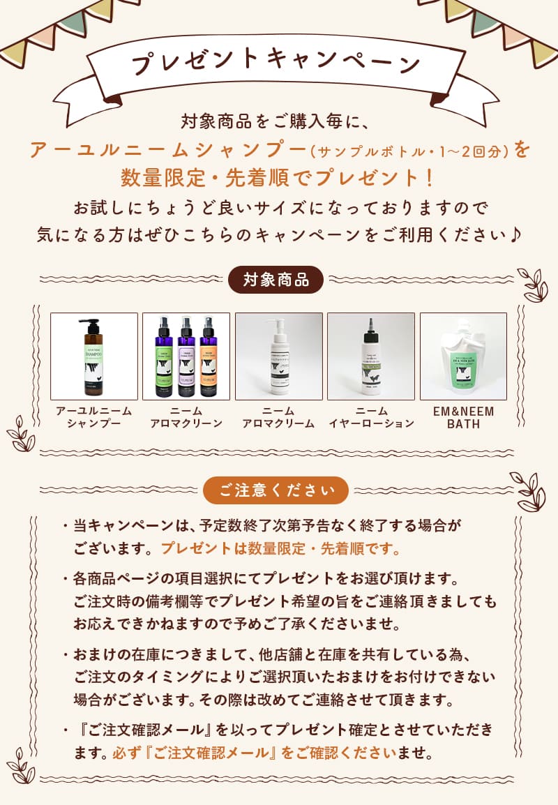 プレゼントキャンペーン