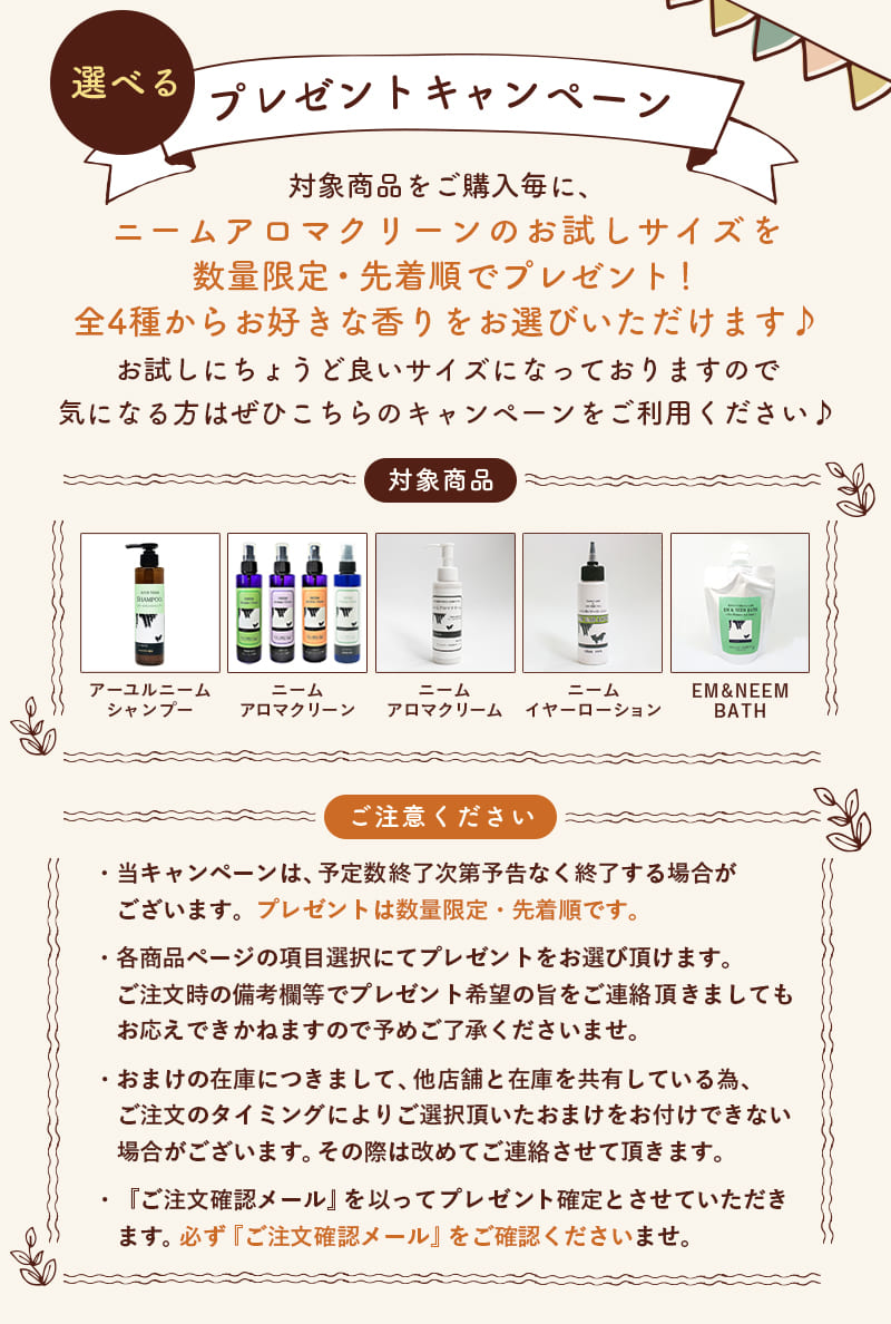 プレゼントキャンペーン