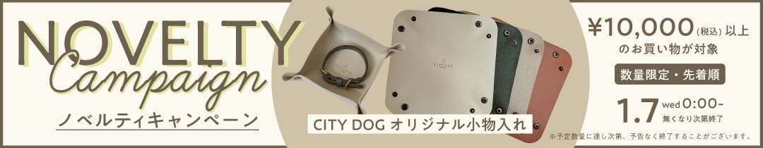 1月限定ノベルティキャンペーン