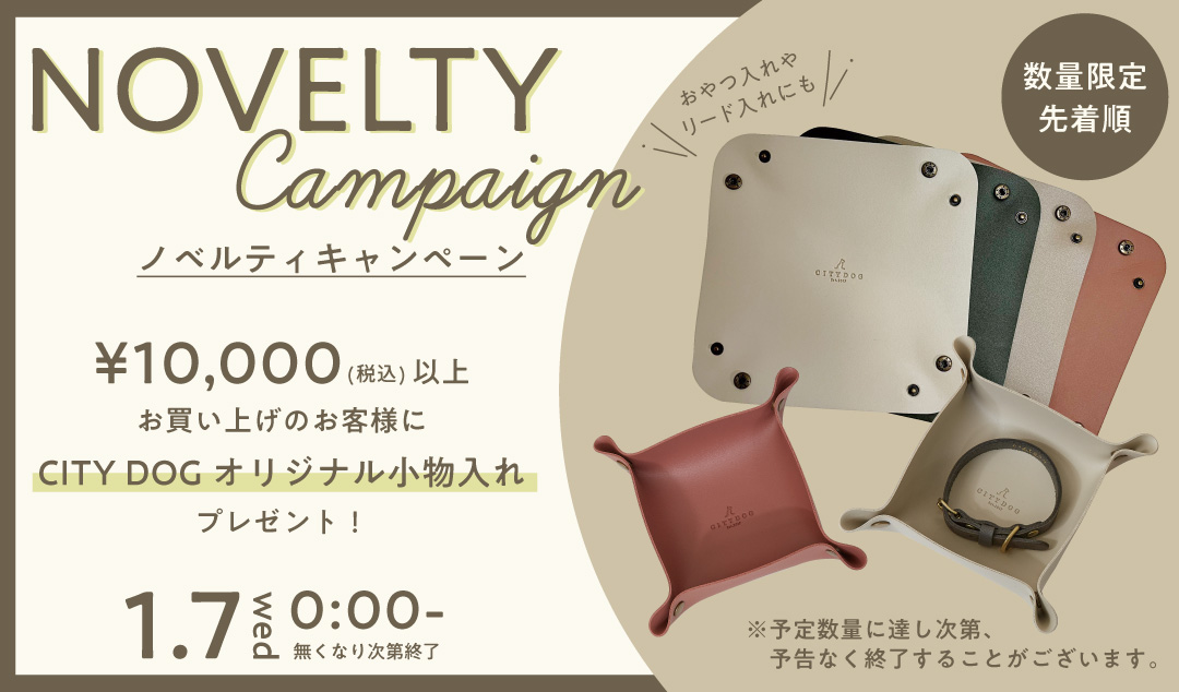 1月限定ノベルティキャンペーン！