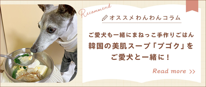 おすすめのわんわんコラム1