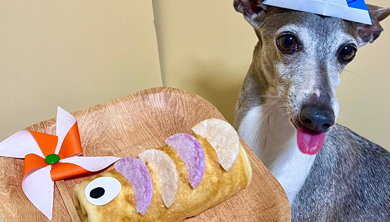 ご愛犬も一緒にまねっこ手作りごはん｜卵焼き用フライパンで簡単！こいのぼりロールケーキ