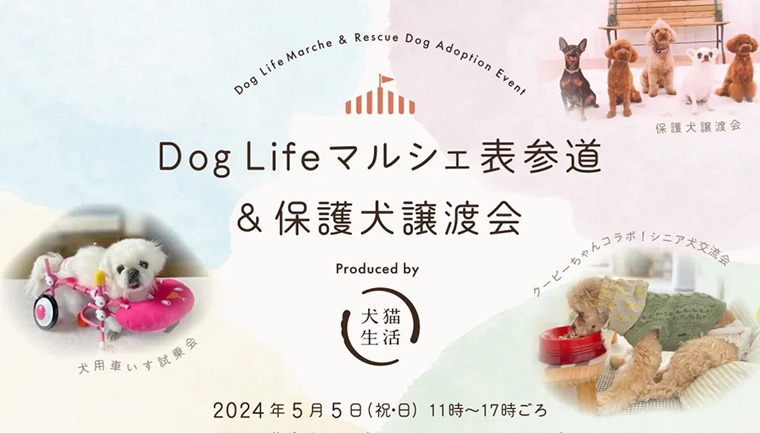 Dog Lifeマルシェ表参道＆保護犬譲渡会～produced by犬猫生活～@表参道にイリオスマイルが出展しました！