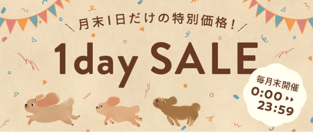 1day SALE