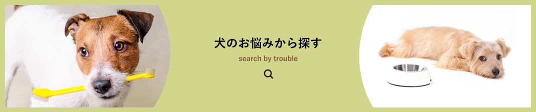 犬のお悩みから探す