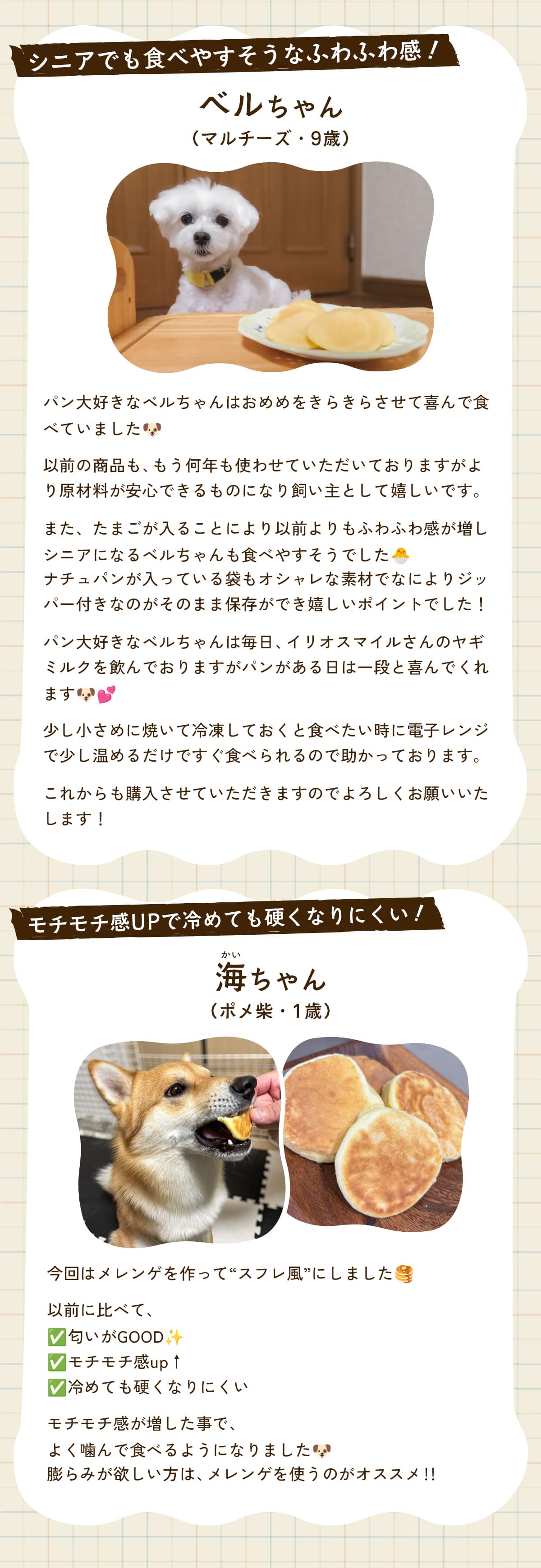 米粉のナチュラルパンケーキミックス