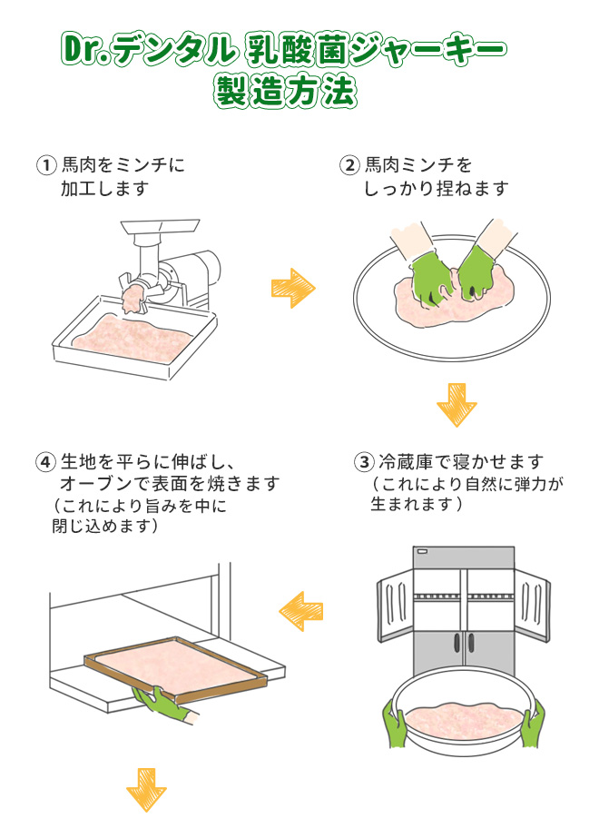 Dr.デンタル乳酸菌ジャーキー】 馬肉 ソフト細切り (12本) | 【公式