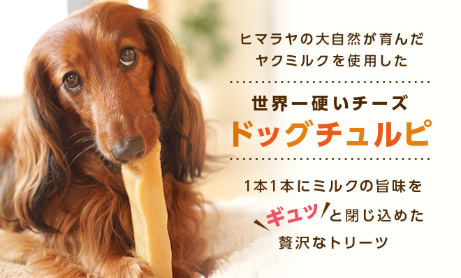 無添加】ヒマラヤ産 ヤクミルクチーズスティック『ドッグチュルピ』XS