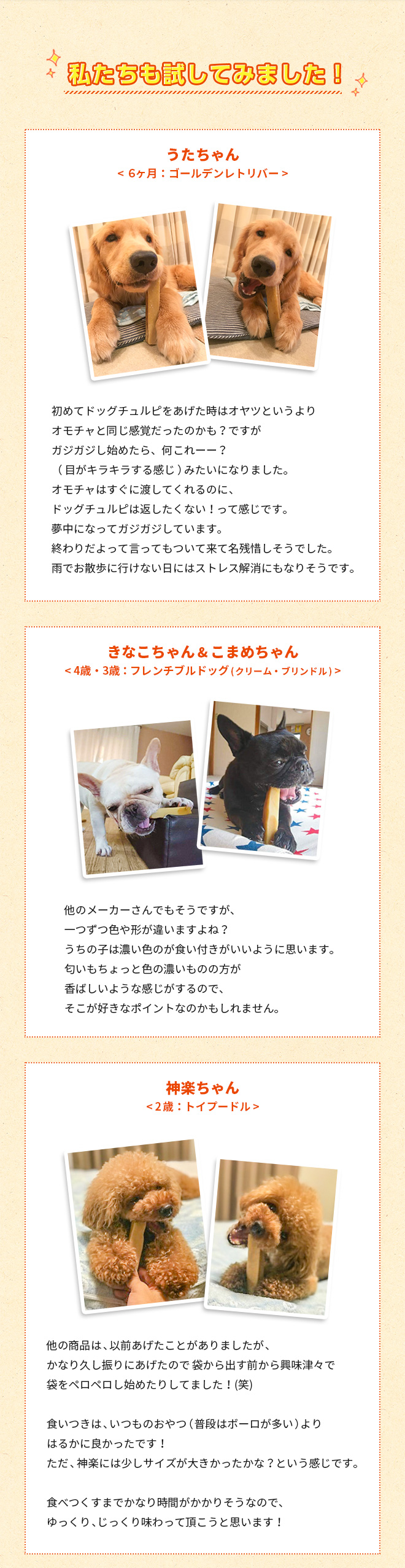無添加 ヒマラヤ産 ヤクミルクチーズスティック ドッグチュルピ Sサイズ 約70 90g 犬用自然派ごはんとおやつ専門店イリオスマイル 無添加 ヒマラヤ産 ヤクミルクチーズスティック ドッグチュルピ Sサイズ 約70 90g 犬用自然派ごはんとおやつ専門店イリオスマイル