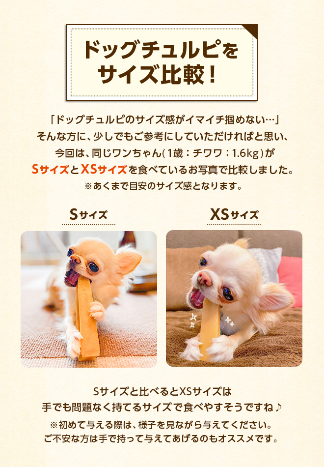 無添加】ヒマラヤ産 ヤクミルクチーズスティック『ドッグチュルピ』M