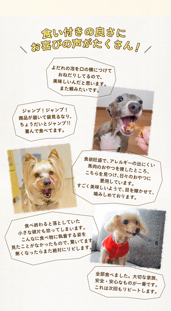 送料無料 選べる4種 犬用 無添加 おやつ リリーセット 犬用自然派ごはんとおやつ専門店イリオスマイル