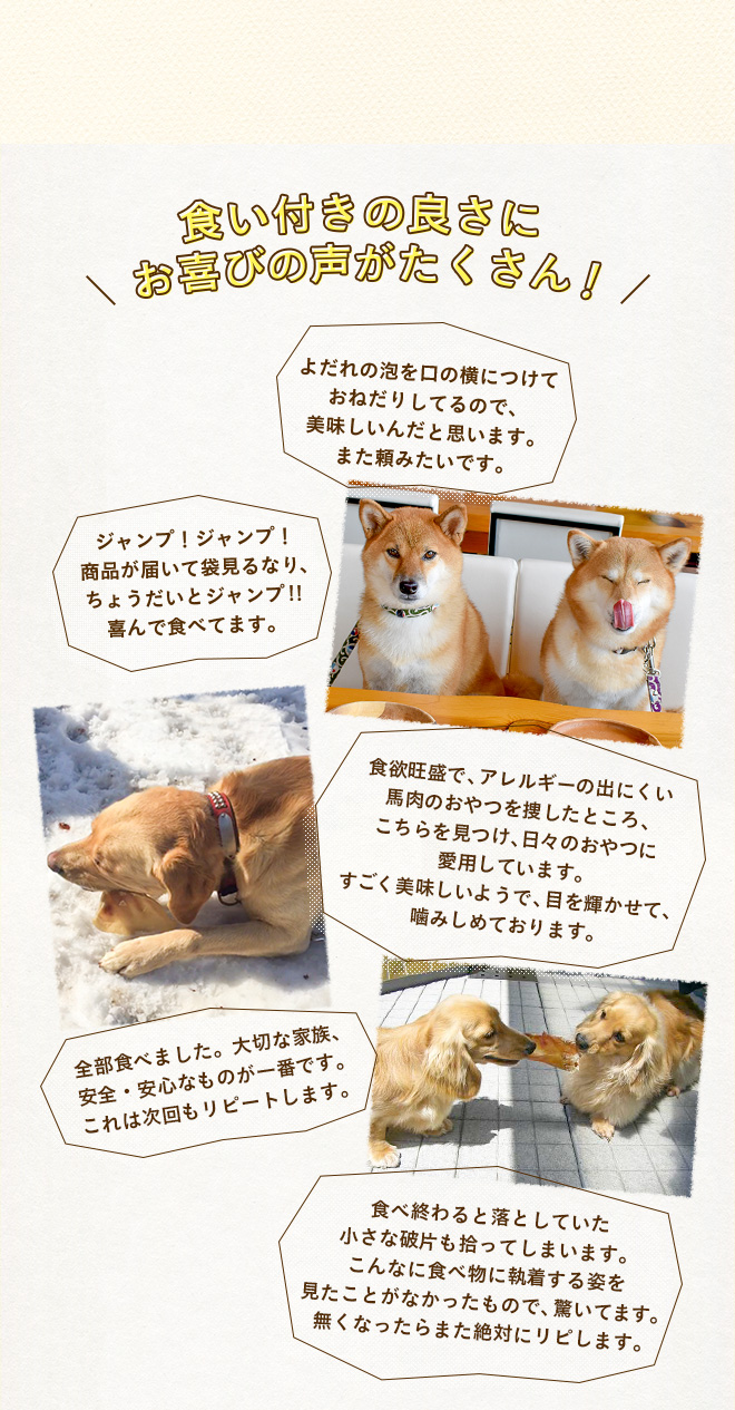 送料無料 選べる4種 犬用 無添加 おやつ ヌイセット 犬用自然派ごはんとおやつ専門店イリオスマイル