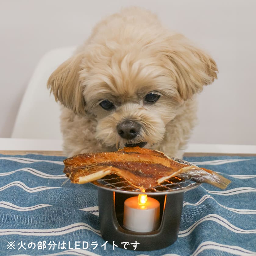 国産 鮭の開き