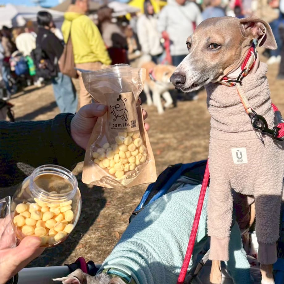 わんたまボトル＋ボーロセット