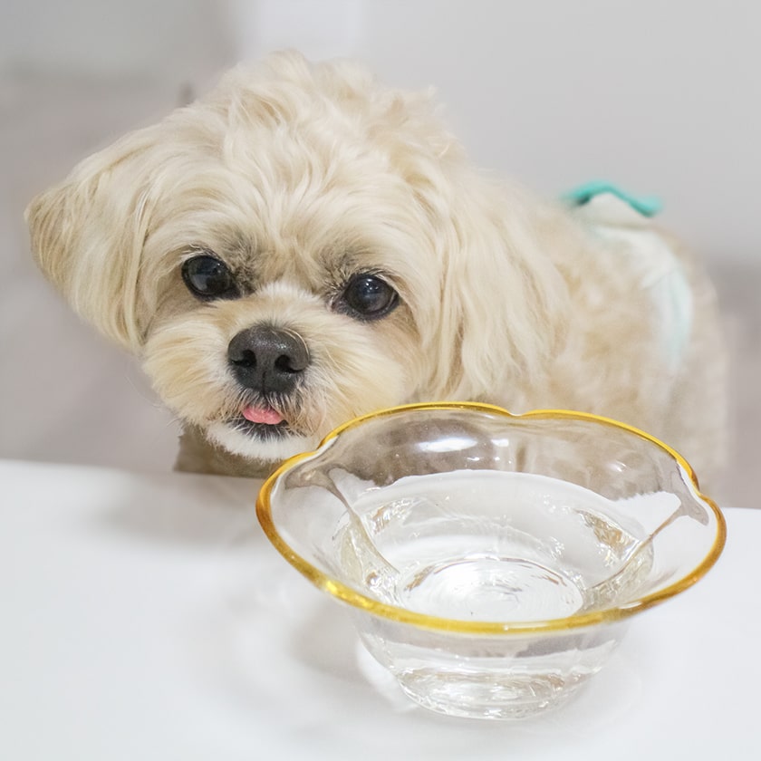 KPSマウスクリーナー 237ml | 【公式】犬用自然派ごはんとおやつ専門店