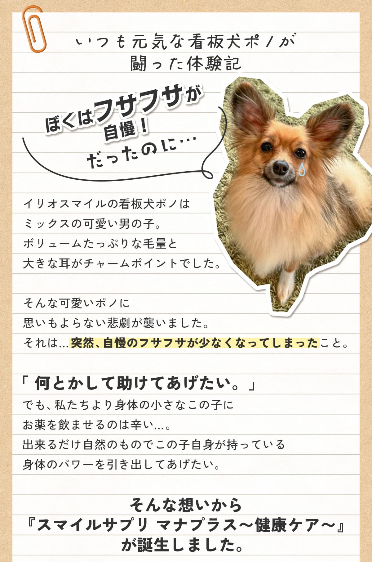 スマイルサプリ マナプラス ～健康ケア～