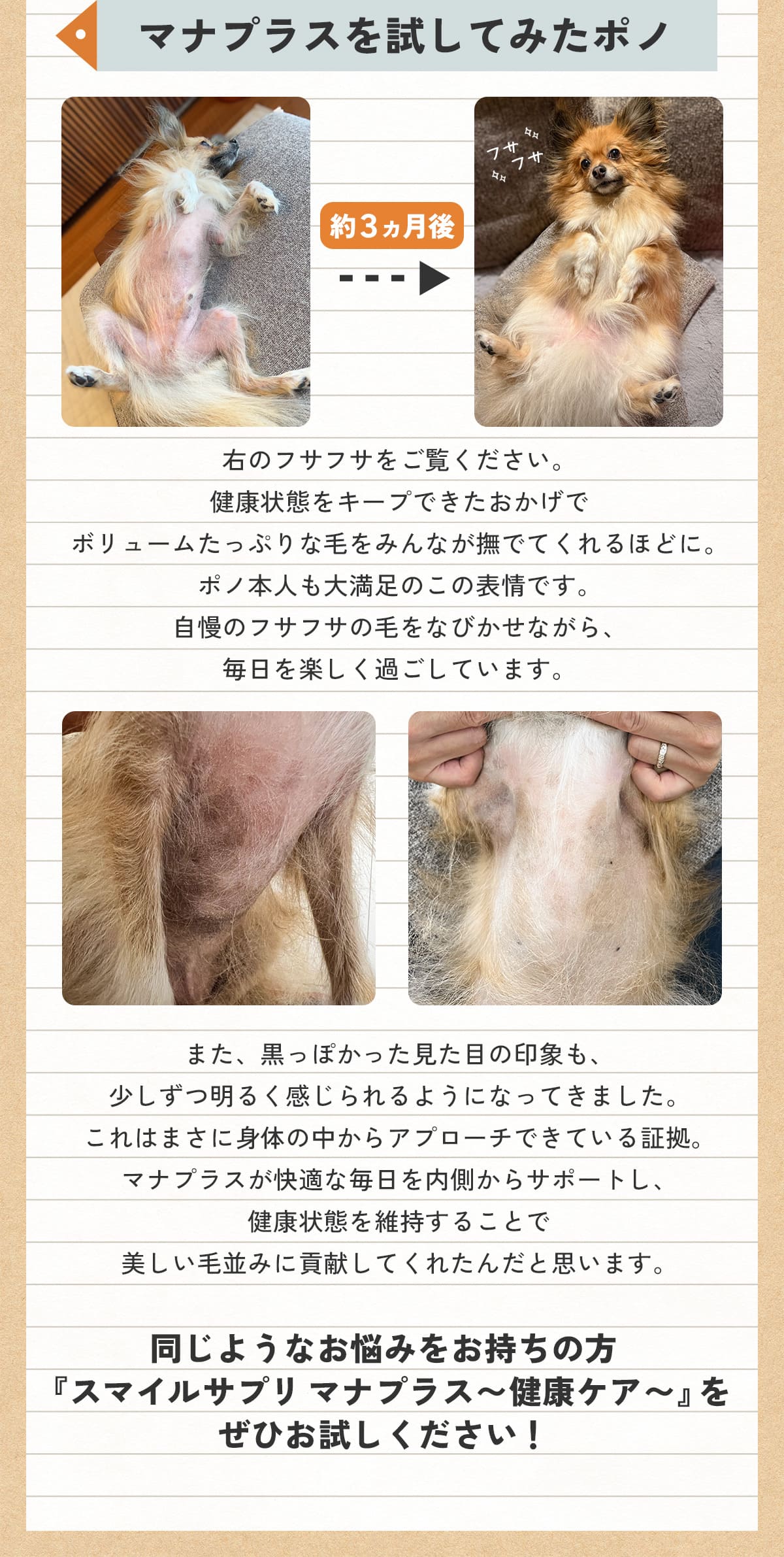 スマイルサプリ マナプラス ～健康ケア～