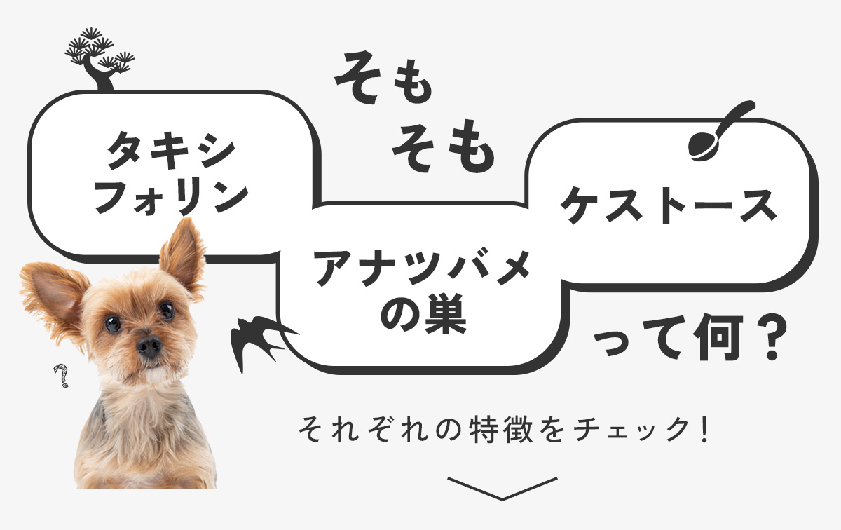 スマイルサプリ マナプラス ～健康ケア～
