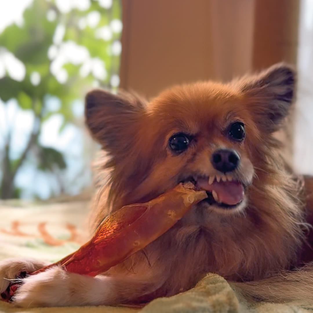鹿児島産 牛大動脈スティック 200g