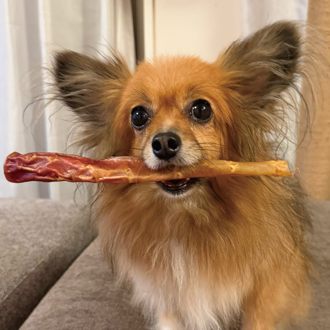 鹿児島産 牛大動脈スティック 200g