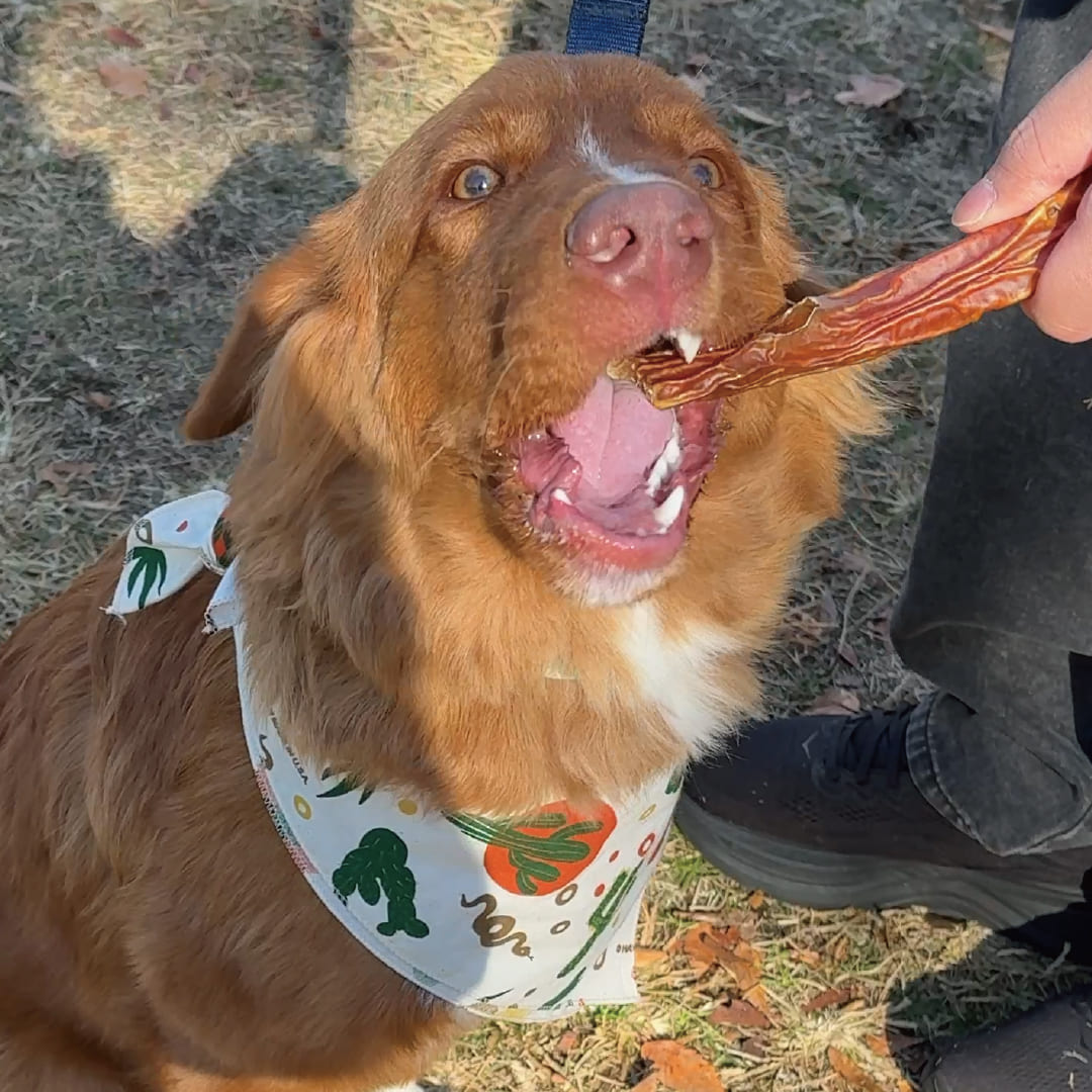 鹿児島産 牛大動脈スティック 200g