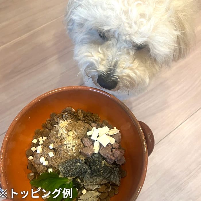 ビオサーモン 夏のごちそう モリンガ和え