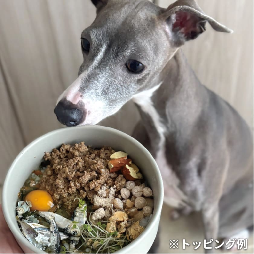 ビオサーモン 夏のごちそう モリンガ和え