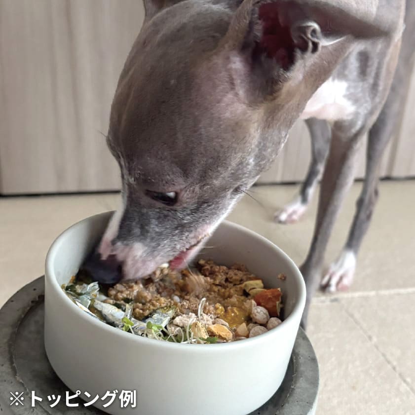 ビオサーモン 夏のごちそう モリンガ和え