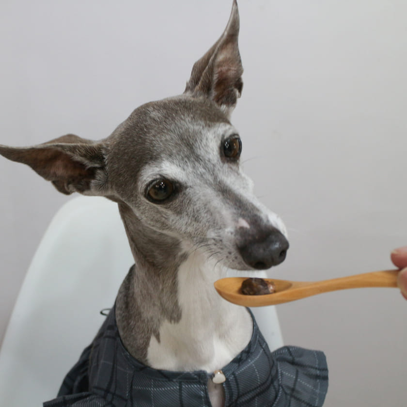 午後のおやつ　やわらか鹿肉グリル 45g