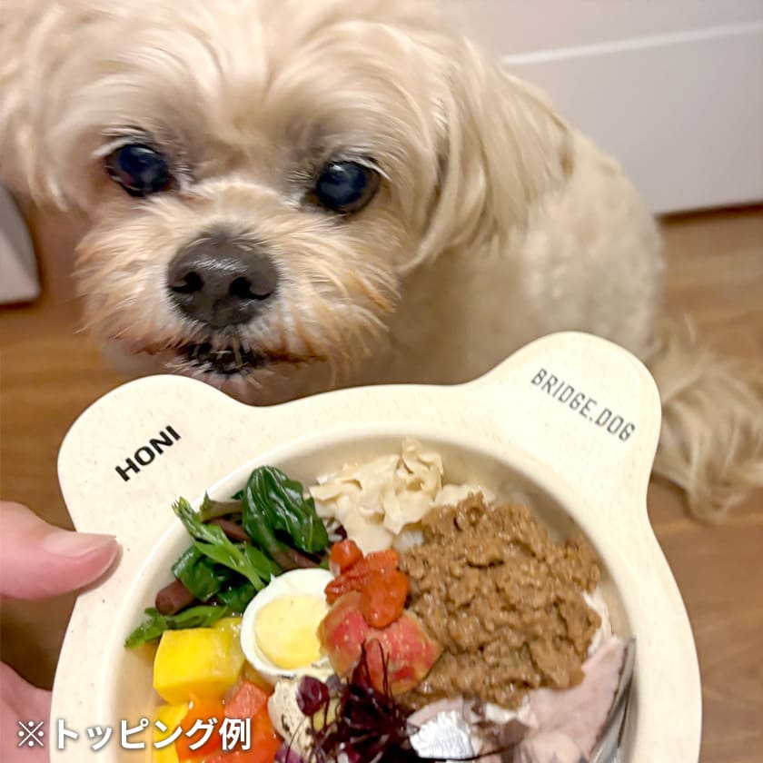 鶏ハツ 夏のごちそう パパイヤ仕立て