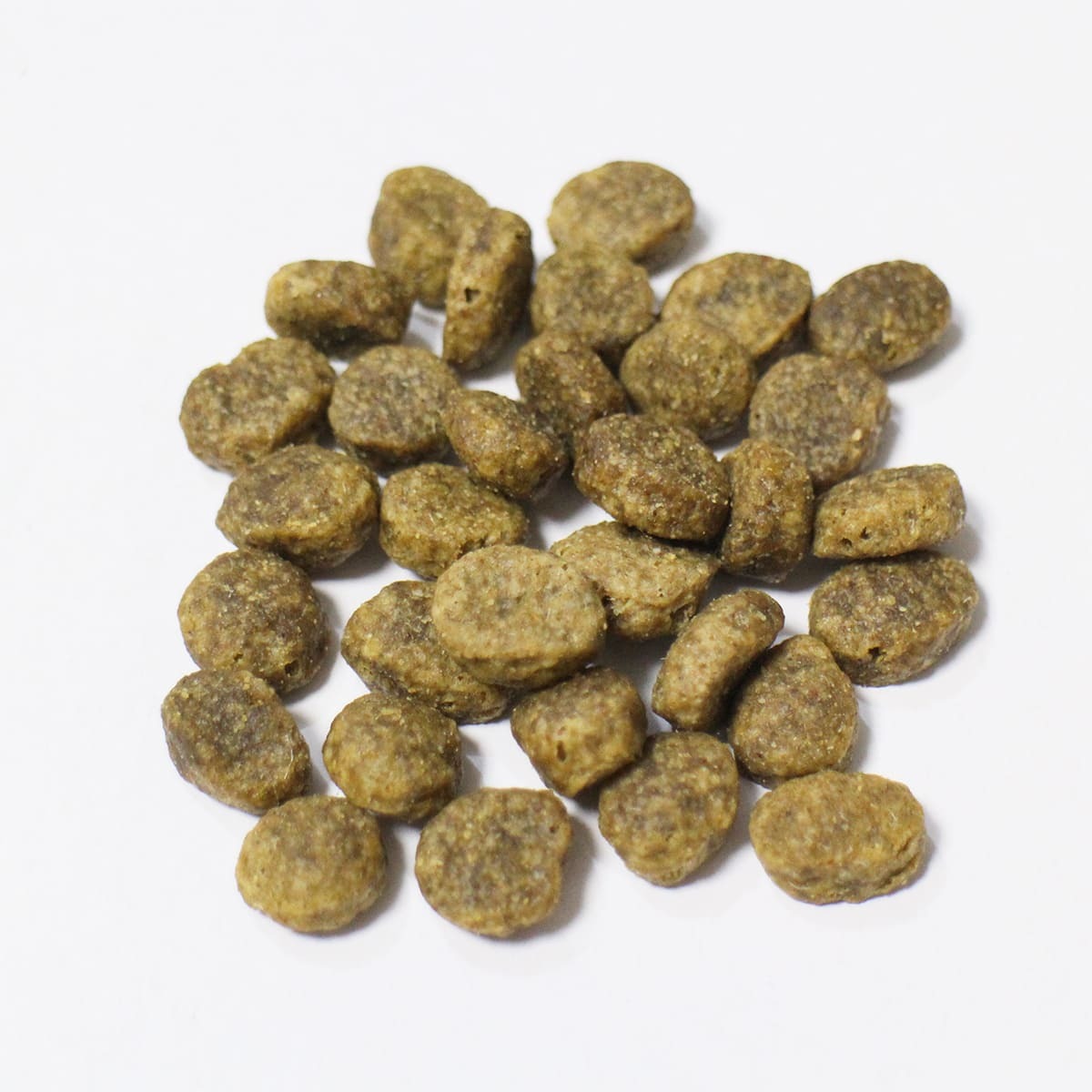 トライプドライ グリーンベニソントライプ