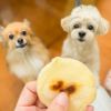 【無添加 国産】米粉ナチュラルパンケーキミックス 200g