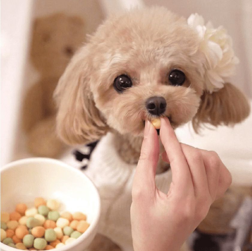 【無添加 国産】野菜ボーロ MIX