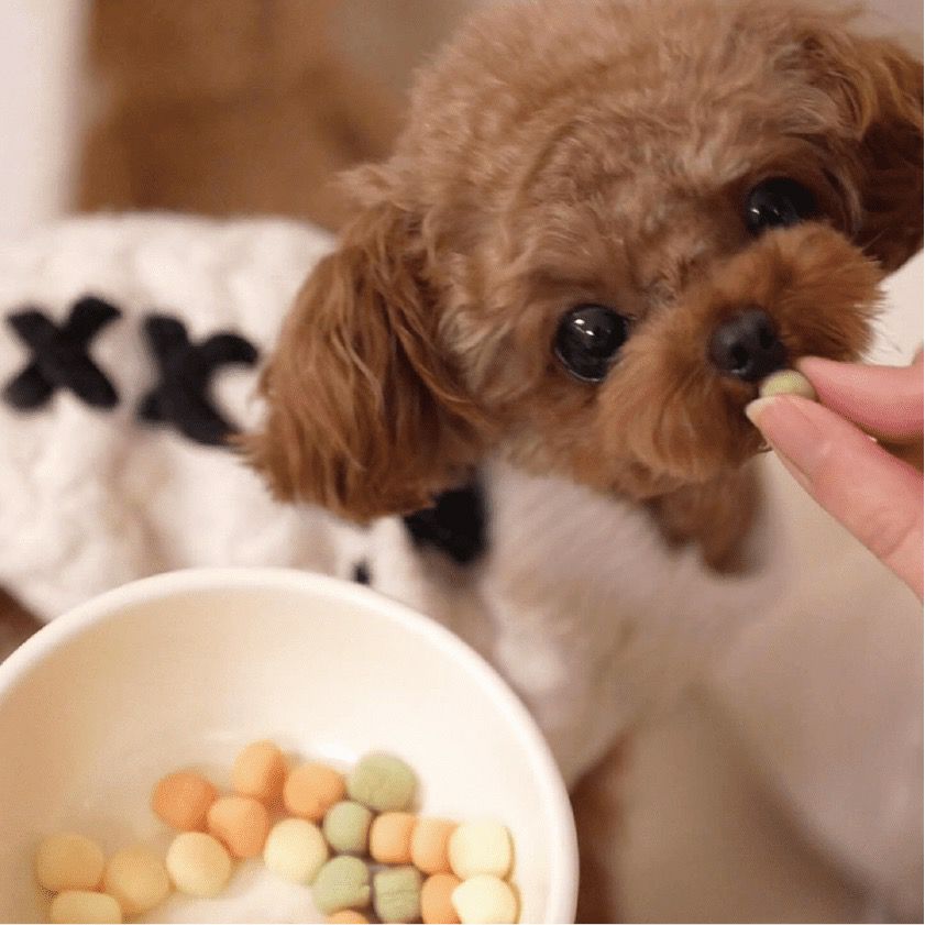 【無添加 国産】野菜ボーロ MIX