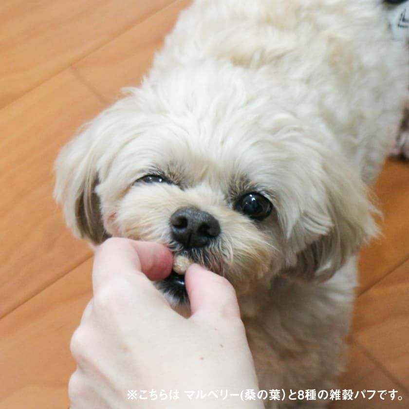 【無添加 国産】国産マルベリーと8種の雑穀パフ 50g