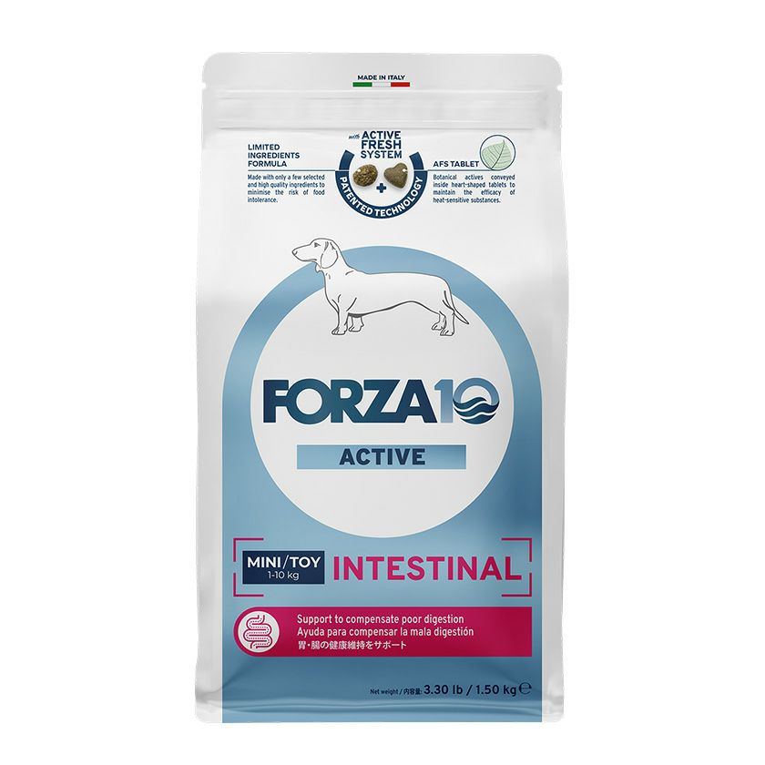 FORZA10 フォルツァディエイチ】フォルツァ インテスティナル