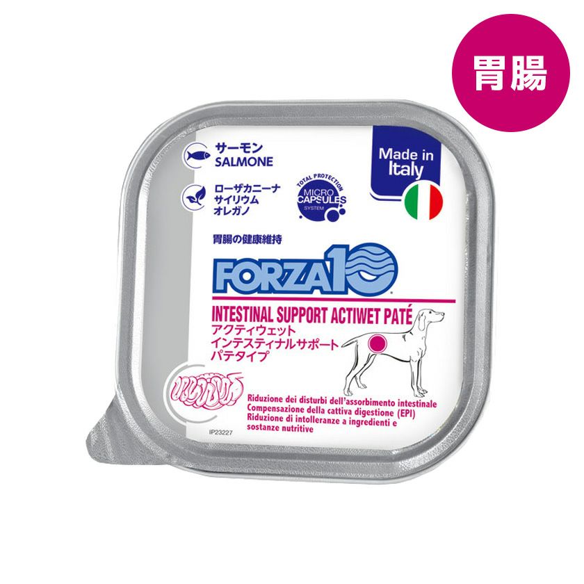 FORZA10 フォルツァディエイチ】フォルツァ インテスティナル