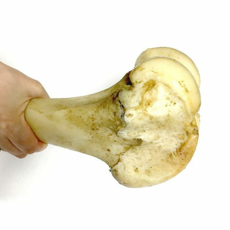 【無添加 国産】神戸牛の牛骨（げんこつ有）小（1本：500～699g）
