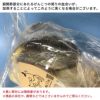 【無添加 国産】神戸牛の牛骨（げんこつ有）小（1本：500～699g）