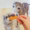 兵庫県産 鶏むねスライス 50g